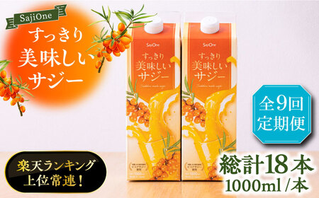 【全9回定期便】美味しいサジーが毎月届く！すっきり美味しいサジー（2本）《豊前市》【ハウスボトラーズ】 [VAX042]