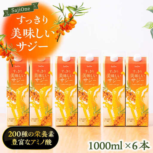 【3か月分を一回で配送】家族みんなでおいしく飲める！すっきり美味しいサジー（6本）《豊前市》【ハウスボトラーズ】 [VAX046]