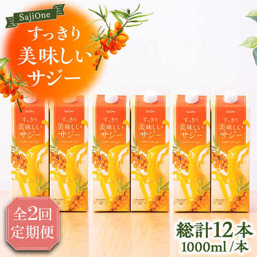 【全2回定期便】家族みんなでおいしく飲める！ すっきり美味しい サジー 6本 《豊前市》【ハウスボトラーズ】 [VAX047]