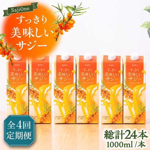 【全4回定期便】家族みんなでおいしく飲める！ すっきり美味しい サジー 6本 《豊前市》【ハウスボトラーズ】 [VAX049]