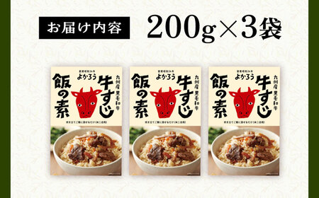 牛すじ飯の素 セット 200g×3袋 《豊前市》【有限会社よかろう】ご飯の素 牛すじ飯 [VBA009]