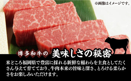 【A4以上】博多和牛 ヒレステーキ 450g （150g×3枚）《豊前市》【株式会社MEAT PLUS】肉 ヒレ フィレ ステーキ [VBB021]