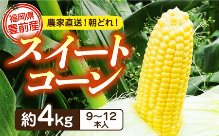 【先行予約受付　2026年6月頃より順次発送】【冷蔵配送】農家直送 朝どれ スイートコーン 約4kg（9?12本入り）《豊前市》【湯越農園】 野菜 コーン とうもろこし [VBC001]