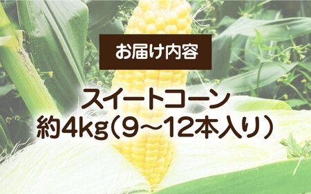 【先行予約受付　2026年6月頃より順次発送】【冷蔵配送】農家直送 朝どれ スイートコーン 約4kg（9?12本入り）《豊前市》【湯越農園】 野菜 コーン とうもろこし [VBC001]