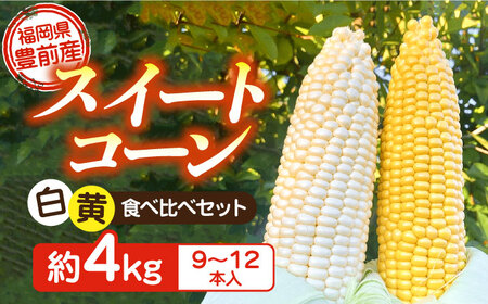 【先行予約受付　2026年6月頃より順次発送】【冷蔵配送】農家直送 朝どれ スイートコーン 白 黄 食べ比べ セット 約4kg （9?12本入り）《豊前市》【湯越農園】 野菜 コーン [VBC002]