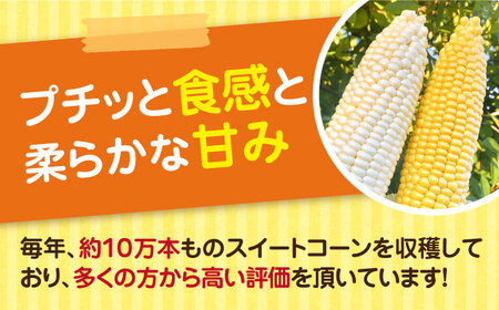 【先行予約受付　2026年6月頃より順次発送】【冷蔵配送】農家直送 朝どれ スイートコーン 白 黄 食べ比べ セット 約4kg （9?12本入り）《豊前市》【湯越農園】 野菜 コーン [VBC002]