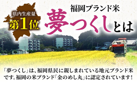 【新米】福岡県産米 夢つくし 10kg×1袋 《豊前市》【湯越農園】米 精米 白米 新米 おこめ [VBC003]