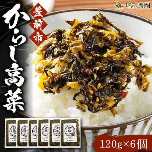 からし高菜120g×6個セット《豊前市》【株式会社瑞穂】 [VBG004]