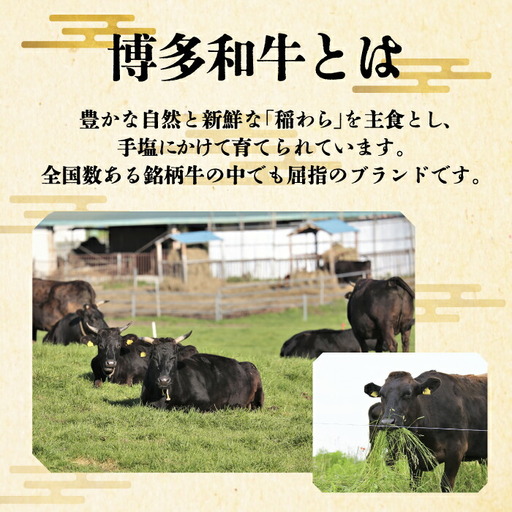【全5回定期便】博多和牛 サーロイン ステーキ 200g × 2枚《豊前市》【久田精肉店】 [VBK004]