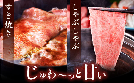 【全2回定期便】A4ランク以上 博多和牛 肩ロース薄切り 500g《豊前市》【久田精肉店】 [VBK133]