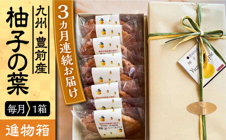 【全3回定期便】【進物箱】柚子の葉 8枚入り《豊前市》【武蔵屋】お中元 ギフト 贈り物 和菓子 [VBU017]