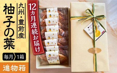 【全12回定期便】【進物箱】柚子の葉 8枚入り《豊前市》【武蔵屋】お中元 ギフト 贈り物 和菓子 [VBU019]
