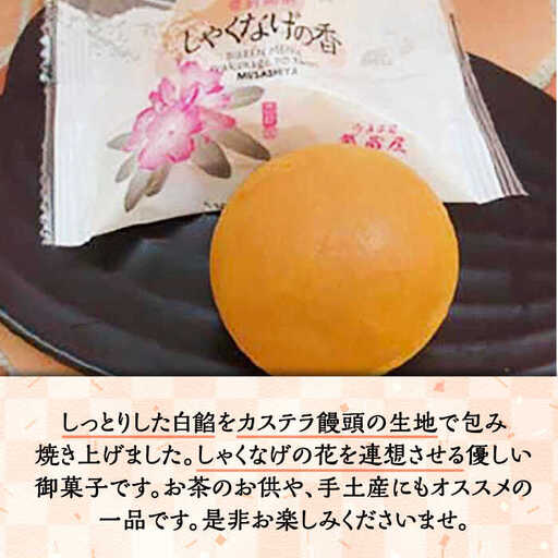 【全12回定期便】【進物箱】しゃくなげの香 10個入り《豊前市》【武蔵屋】お中元 ギフト 贈り物 和菓子 [VBU022] - サムネイル