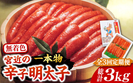 【全3回定期便】【化粧箱 包装紙付】宮近 の 無着色 辛子明太子 1kg (1本物)《豊前市》【株式会社マル五】 明太子 めんたい 明太 [VCL063]