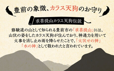 カラス天狗のお守り 金 《豊前市》【山田遼太郎】おまもり 防災 厄除け ギフト 贈り物　 [VCR004]