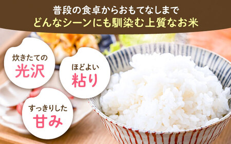 【先行予約】夢つくし 5kg 【令和6年9月以降新米発送】《豊前市》 【山口農園】 米 精米 白米 [VDE014]