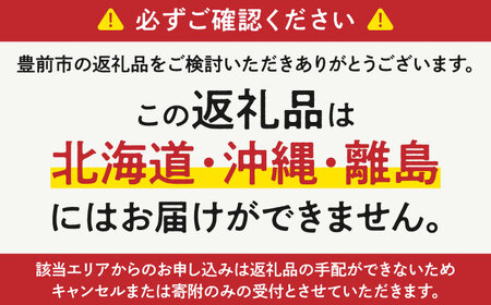【全12回定期便】【細穴タイプ】　トイレットペーパー ダブル 24ロール 長巻き 65m (6ロール×4パック) 宅配 コアレス 《豊前市》【大分製紙】 [VAA065]