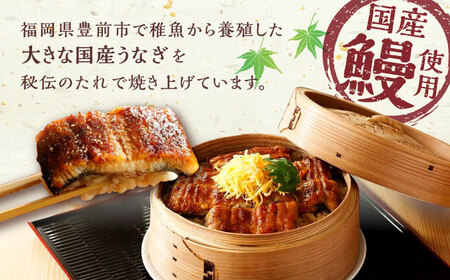 福岡県産うなぎ蒲焼 大10尾[VAD026] 鰻 ウナギ
