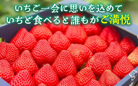 【先行予約】津田くん農園のあまおう 1kg 【2026年1月5日?2月末発送】《豊前市》【株式会社くしだ企画】苺 いちご あまおう [VDG001]