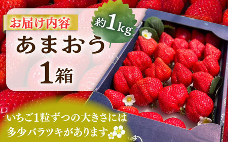 【先行予約】津田くん農園のあまおう 1kg 【2026年1月5日?2月末発送】《豊前市》【株式会社くしだ企画】苺 いちご あまおう [VDG001]