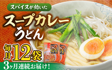 【第3回定期便】 スープカレーうどん (12食入り)≪豊前市≫【富士菊】 うどん カレー 麺[VAI071]