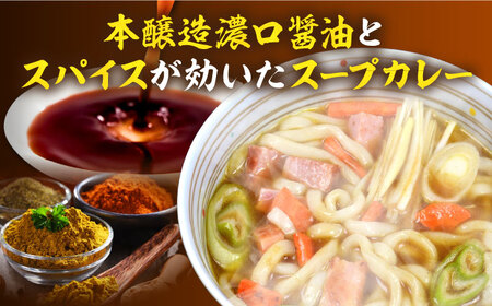 【第3回定期便】 スープカレーうどん (12食入り)≪豊前市≫【富士菊】 うどん カレー 麺[VAI071]