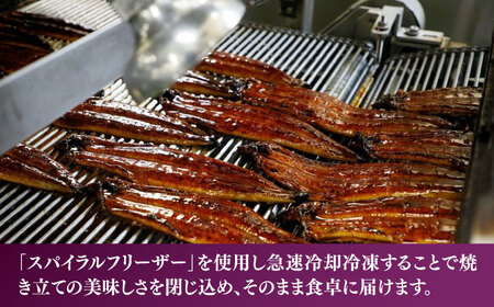 【全2回定期便】福岡県産 うなぎ 蒲焼 大2尾　合計 320 g（1尾あたり 160g以上）《豊前市》【福岡養鰻】 国産 うなぎ 大 [VAD034]