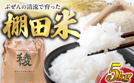 【新米】求菩提米　夢つくし　5kg (5kg×1袋) 《豊前市》【アグリネックス】 米 お米 白米 5キロ 米5kg 米5キロ  新米 産地直送 精米 国産 おすすめ おいしい 2025年 甘い 人気 ランキング [VCO003]