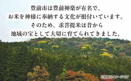 【全3回定期便】 求菩提米　夢つくし　5kg (5kg×1袋) 《豊前市》【アグリネックス】 米 お米 白米 5キロ 米5kg 米5キロ  新米 産地直送 精米 国産 おすすめ おいしい 2025年 甘い 人気 ランキング [VCO006]