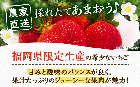 【先行予約】【1~4月発送】農家直送 大玉 大粒あまおう[VAB023]あまおう