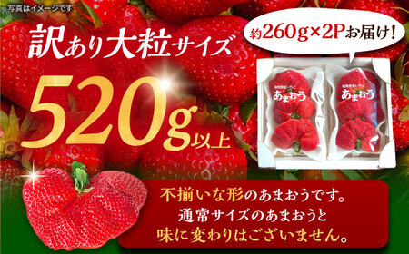 【先行予約】【1~4月発送】農家直送 大玉 大粒あまおう[VAB023]あまおう