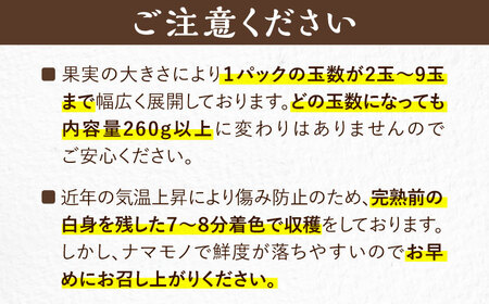 【先行予約】【1~4月発送】農家直送 大玉 大粒あまおう[VAB023]あまおう