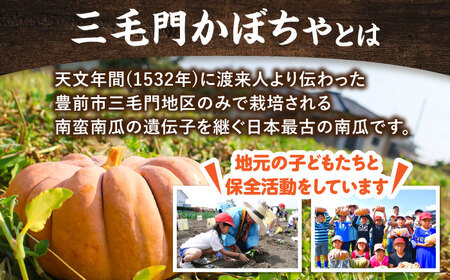 三毛門南瓜 焼酎 鎮盛 (しげもり) 1.8L 25度 ≪豊前市≫【三毛門南瓜保存会】 本格焼酎 お酒 かぼちゃ [VDF002]
