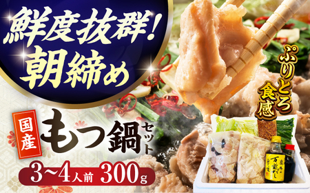 【くぼて鷹勝　卜仙の郷】鷹勝 和風もつ鍋セット（３?４人前）300g 【株式会社鷹勝カレント】　《豊前》　熊本産 博多 国産 牛もつ鍋 モツ ホルモン 九州 グルメ[VAK015]