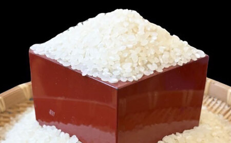 豊前市産　夢つくし　4.5kg　《豊前》　【株式会社　ぶぜん街づくり会社（「道の駅」豊前おこしかけ）】米　白米　こめ　お米　夢つくし[VBQ031]