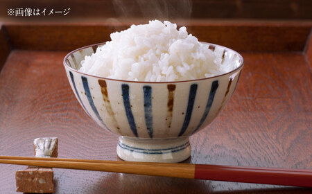 豊前市産　夢つくし　4.5kg　《豊前》　【株式会社　ぶぜん街づくり会社（「道の駅」豊前おこしかけ）】米　白米　こめ　お米　夢つくし[VBQ031]