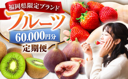 【全4回定期便】フルーツ定期便 6万円コース(あまおう2種＆いちじく＆キウイ) 《豊前市》【豊前市定期便】[VZZ017]