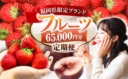 【全4回定期便】フルーツ定期便 6万5千円コース (あまおう3種＆いちじく) 《豊前市》【豊前市定期便】[VZZ018]