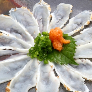 【6回定期便】九州産天然ふぐたたき刺身7皿セット【001-0395】