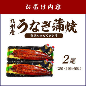 【3回定期便】九州産うなぎ蒲焼2尾　秘伝つゆだくタレ付【001-0383】