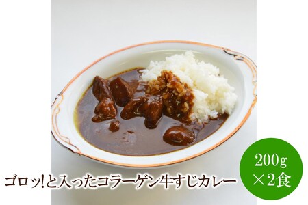 ゴロッ!と入ったコラーゲン牛すじカレー2食【001-0312】