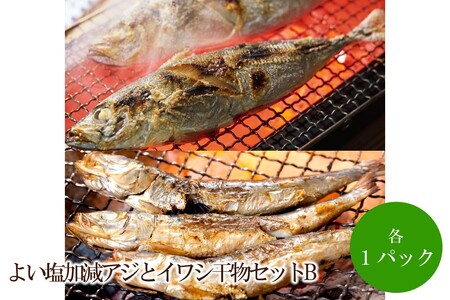 程よい塩加減アジとイワシ干物セットB【001-0314】