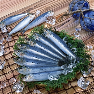 程よい塩加減アジとイワシ干物セットB【001-0314】