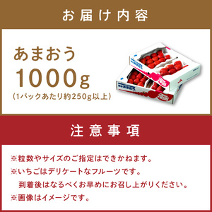 フルーツソムリエが選んだ福岡産【春】あまおう4パック【011-0050】