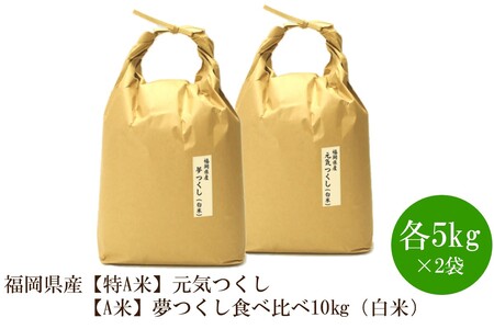 福岡県産【特A】評価のお米「元気つくし」5kg×2袋[10kg][白米]【059-0067】