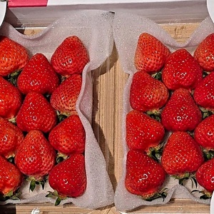 【2026年先行予約】あまおうデラックス(4パック)【044-0060】