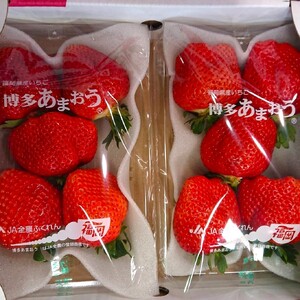 【2026年先行予約】【4回定期便】あまおう大好き定期便【044-0067】