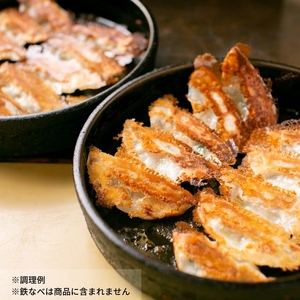 【4回定期便】本店鉄なべ冷凍ぎょうざと冷凍しそぎょうざ48個入り交互にお届け【040-0013】