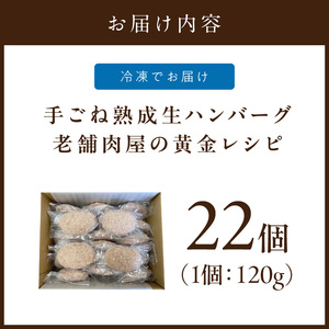 博多和牛手ごね生ハンバーグ 22個【019-0022】