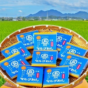 マルゴめん中間産米麺 プレーン 10食 グルテンフリー中間新名物スローフード 小麦大豆不使用 福岡県中間市 ふるさと納税サイト ふるなび